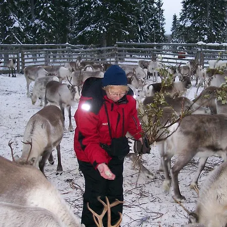 Dasher Apartamento Äkäslompolo