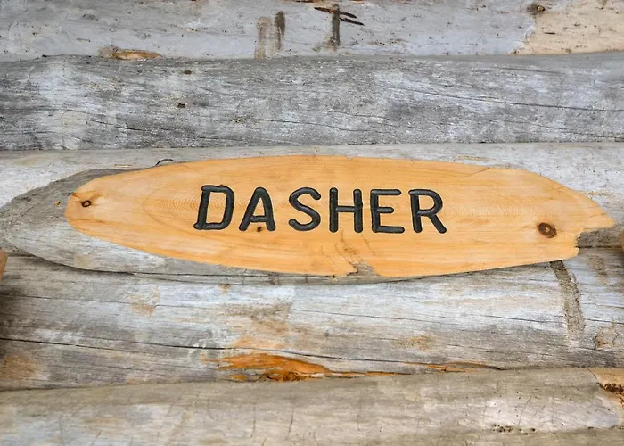 Dasher Apartament *