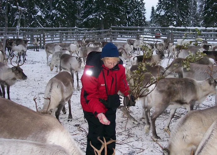 Dasher Apartament Äkäslompolo
